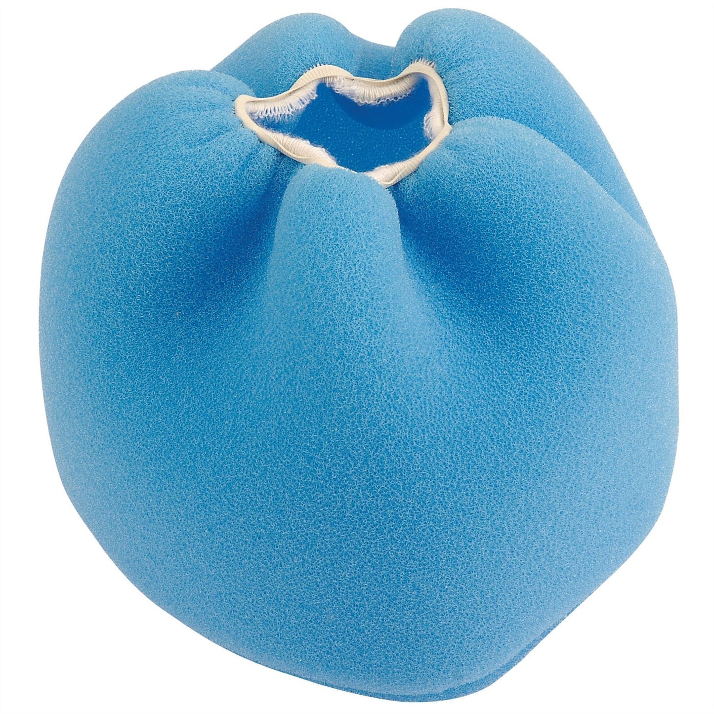 Draper 27893 Anti-Foam Filter for SWD1100A Draper