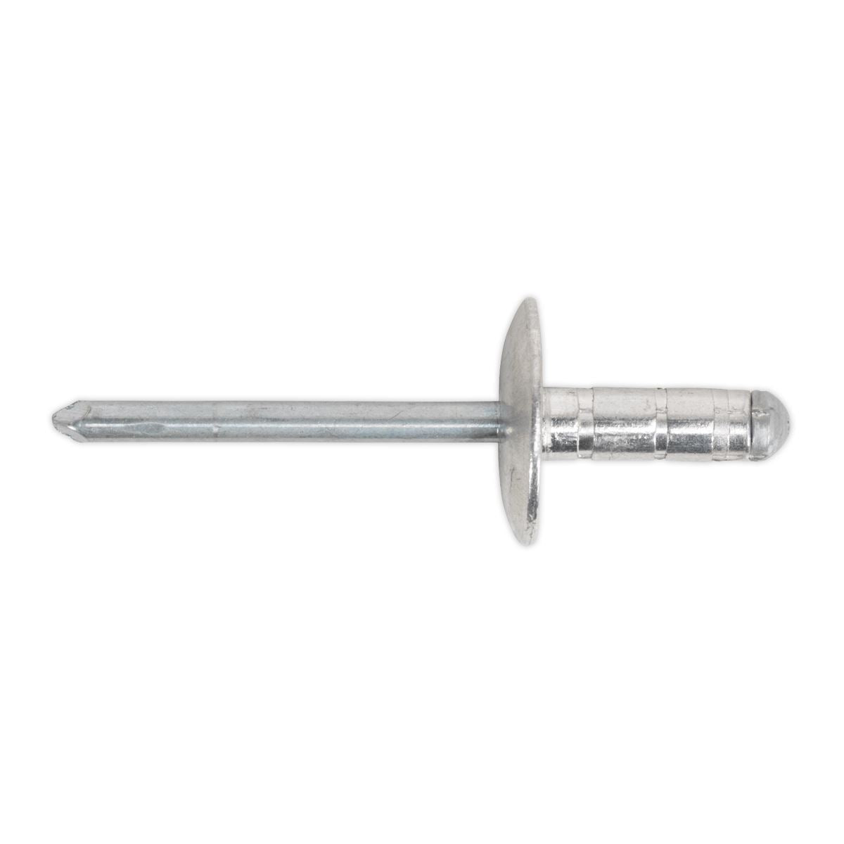 Sealey RM4819L Aluminium Multi-Grip Rivet Large Flange Ø4.8 x 19mm Pack of 200 Sealey