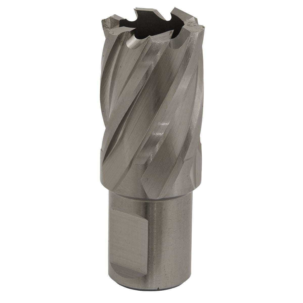 Sealey RBHSS23S Mag Drill Bit HSS Ø23mm - Cut Depth 25mm Sealey