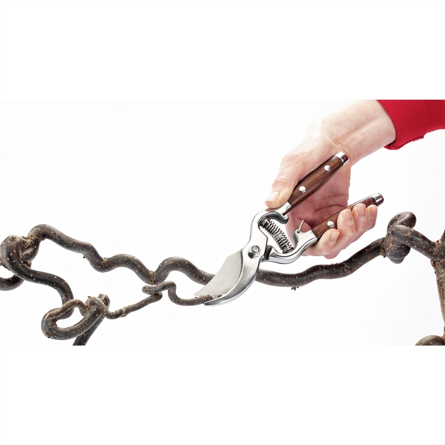 Draper 45317 Bypass Pattern Secateurs with Wooden Handles 210mm Draper