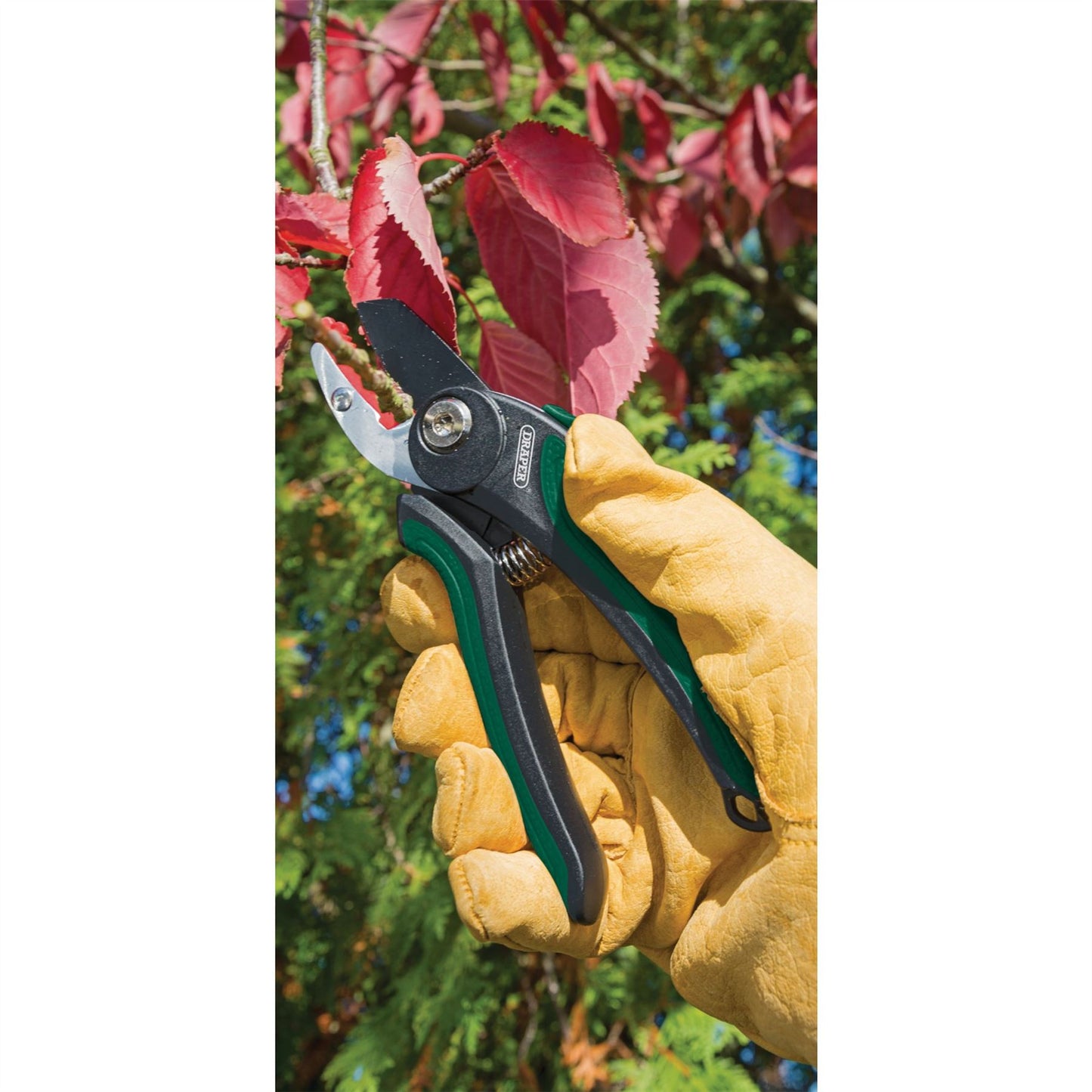 Draper 83970 Anvil Pattern Secateurs 175mm Draper