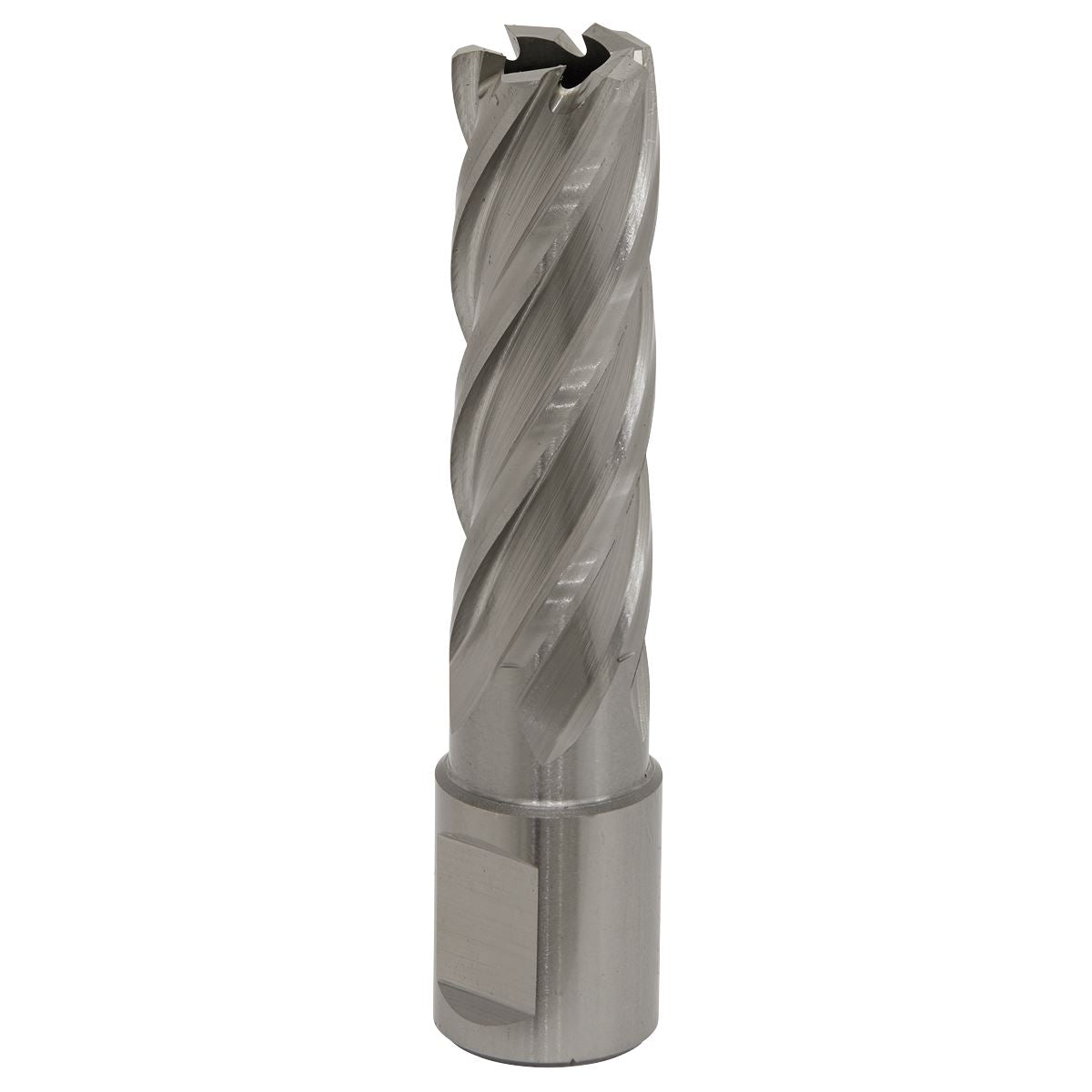 Sealey RBHSS17L Mag Drill Bit HSS Ø17mm - Cut Depth 50mm Sealey