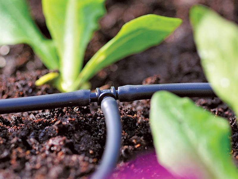 Hozelock 2777 T-Piece 4mm Pack 12 Hozelock