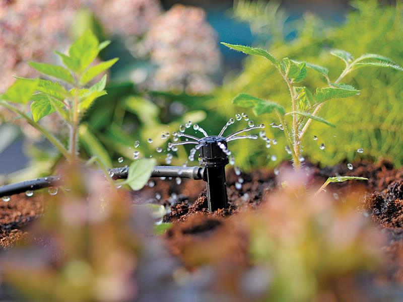 Hozelock 2788 End of Line Adjustable Mini Sprinkler on Stake 4mm Pack 12 Hozelock