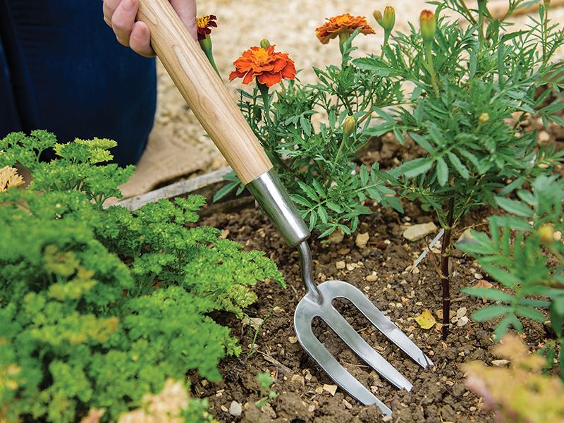 Kent & Stowe Stainless Steel Hand Border Fork, Fsc® Kent & Stowe