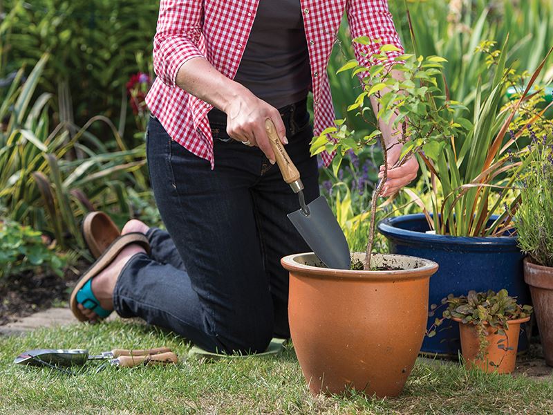 Kent & Stowe Carbon Steel Hand Trowel Fsc Kent & Stowe