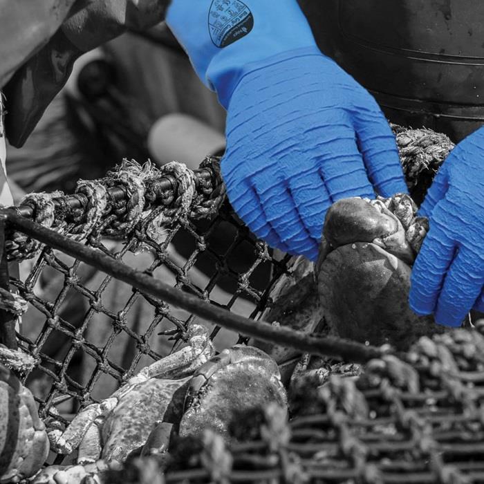 Polyco BGG Blue Grip Crinkle Latex Cold Heat Contact Gauntlet Gloves Polyco Healthline