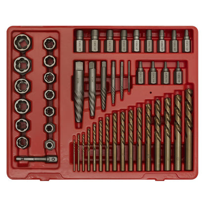 Sealey AK8149 Master Extractor Set 49pc Sealey
