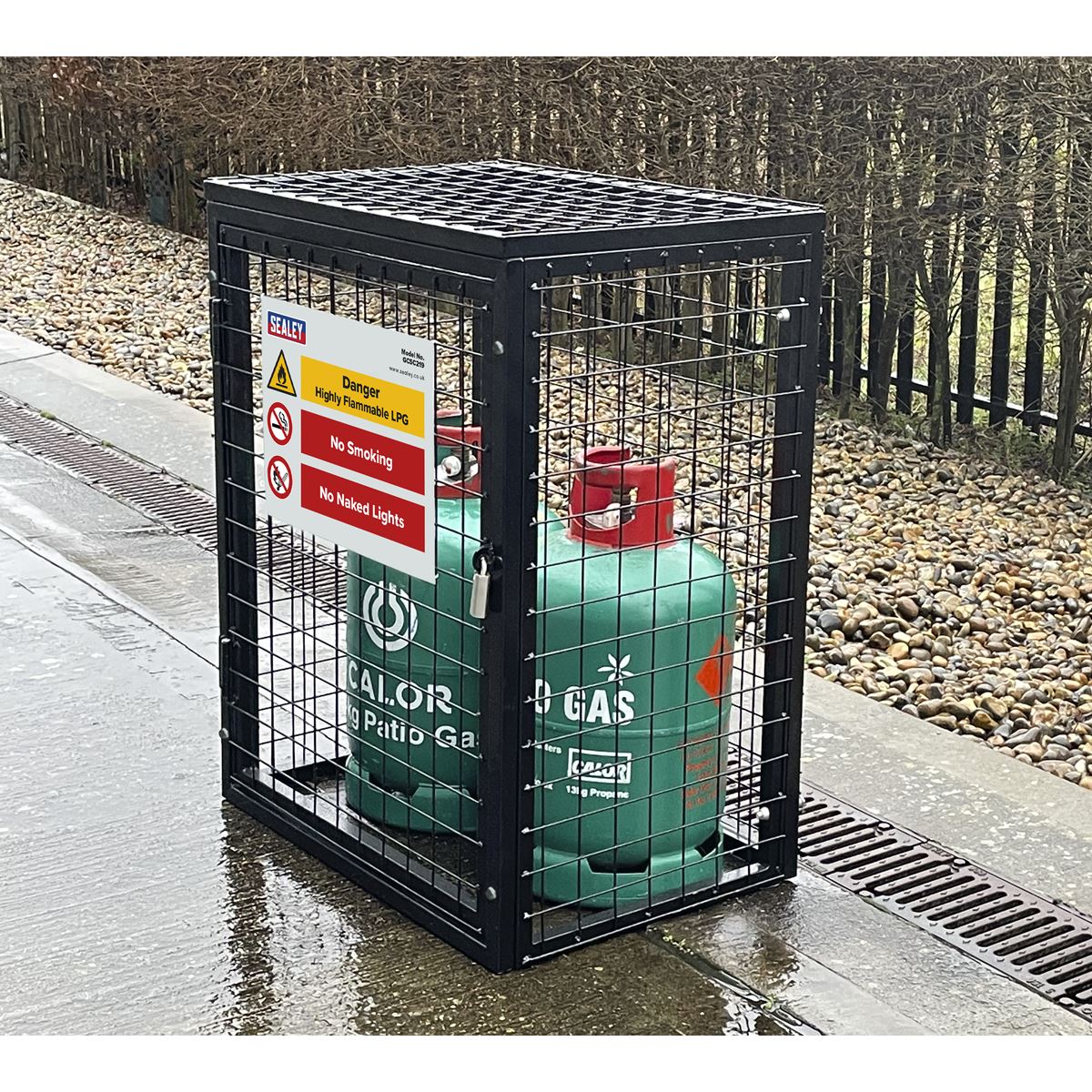 Sealey GCSC219 Safety Cage - 2 x 19kg Gas Cylinders Sealey