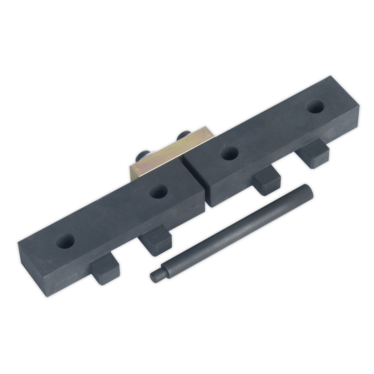 Sealey VSE4425 Petrol Engine Timing Tool Kit - for BMW M42/M50/M52/M52TU/M54/M56 - Chain Drive Sealey