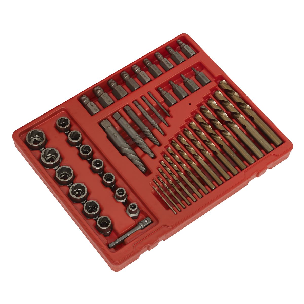 Sealey AK8149 Master Extractor Set 49pc Sealey