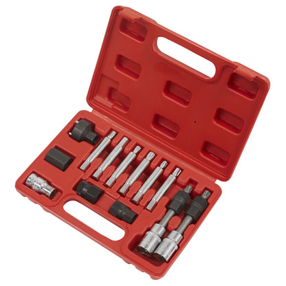 Sealey SX401 Alternator Freewheel Removal Set 13pc Sealey