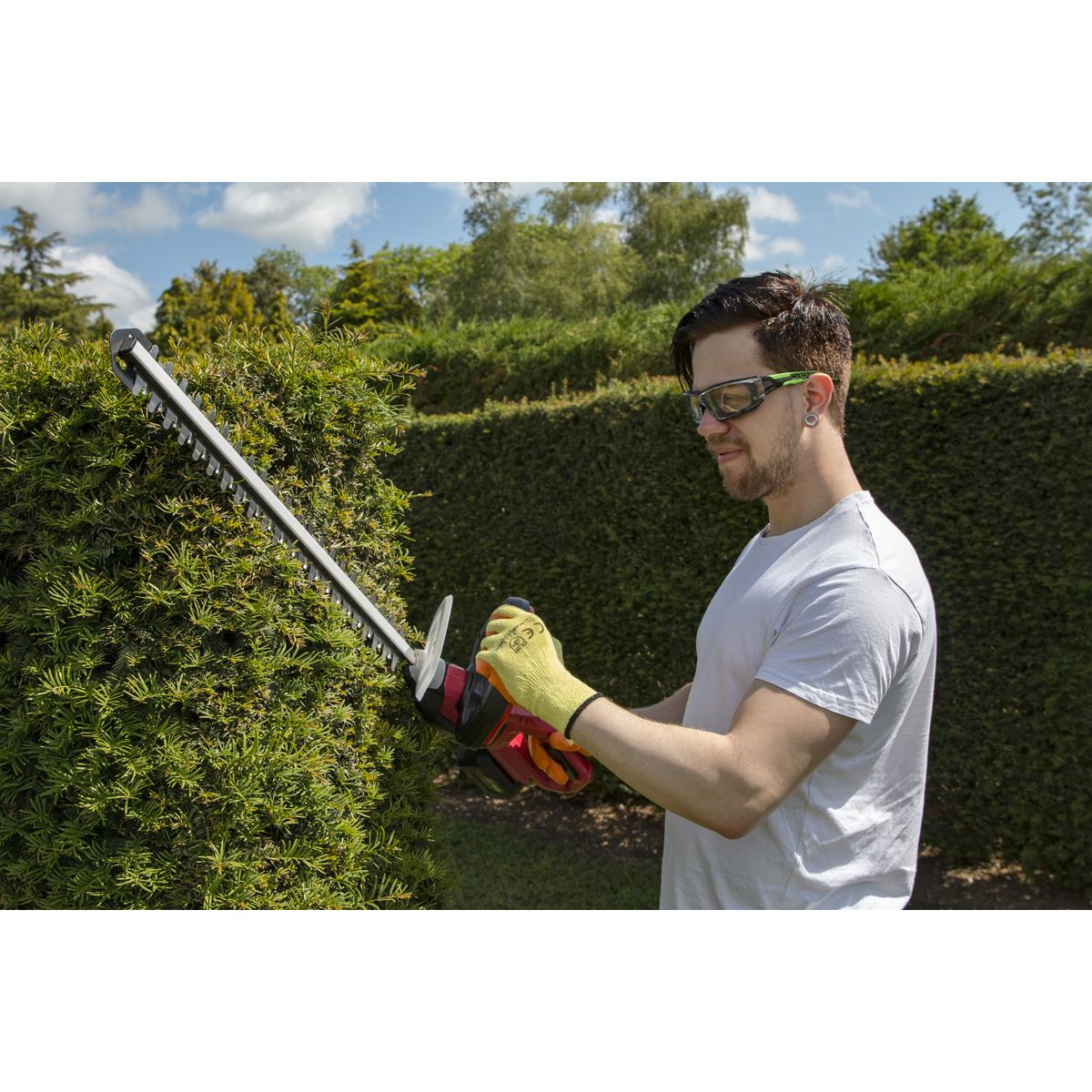Sealey CHT20VCOMBO4 Hedge Trimmer Cordless 20V SV20 Series with 4Ah Battery & Charger Sealey