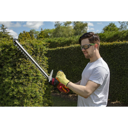 Sealey CHT20VCOMBO4 Hedge Trimmer Cordless 20V SV20 Series with 4Ah Battery & Charger Sealey