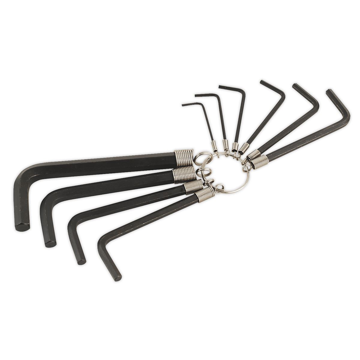 Sealey AK6148 Hex Key Set on Ring 10pc Metric Sealey
