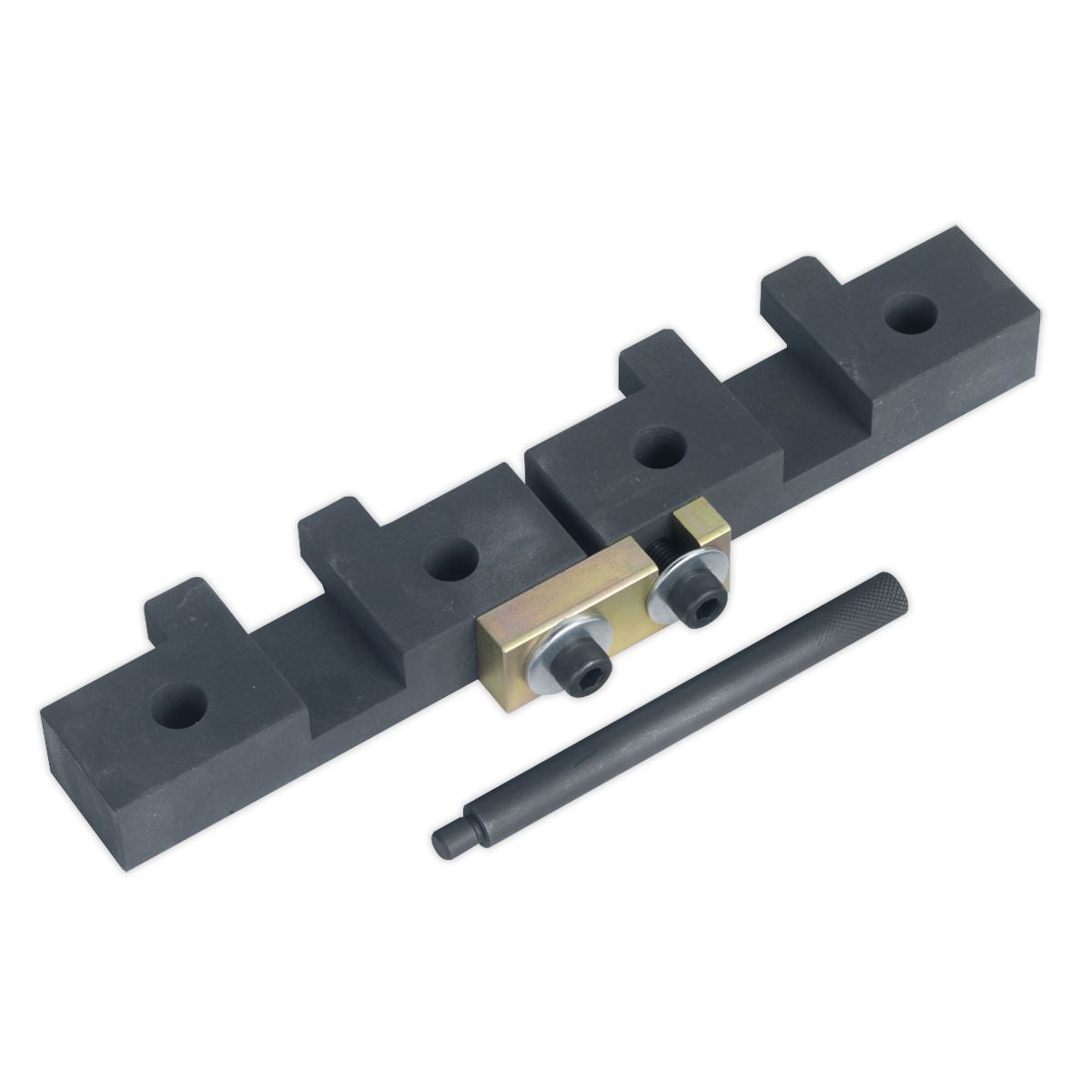 Sealey VSE4425 Petrol Engine Timing Tool Kit - for BMW M42/M50/M52/M52TU/M54/M56 - Chain Drive Sealey