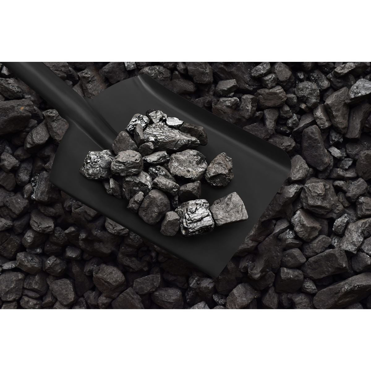 Sealey SS08 Coal Shovel 6" with 185mm Handle Sealey