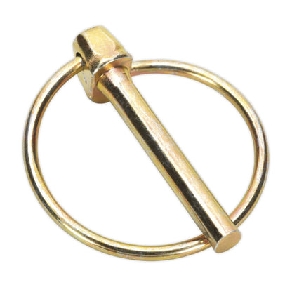 Sealey AB022LP Linch Pin Assortment 50pc Metric Sealey