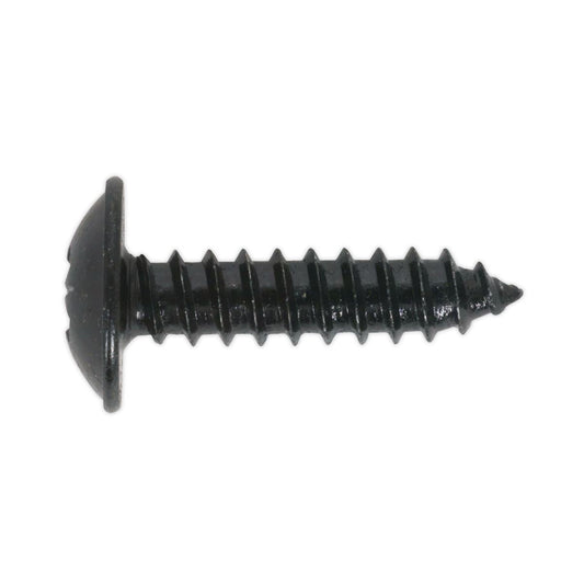 Sealey BST4813 Self-Tapping Screw 4.8 x 13mm Flanged Head Black Pozi Pack of 100 Sealey