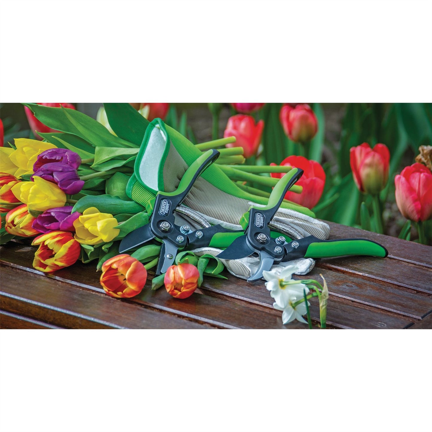 Draper 94983 Expert Anvil Pattern Secateurs 200mm Draper