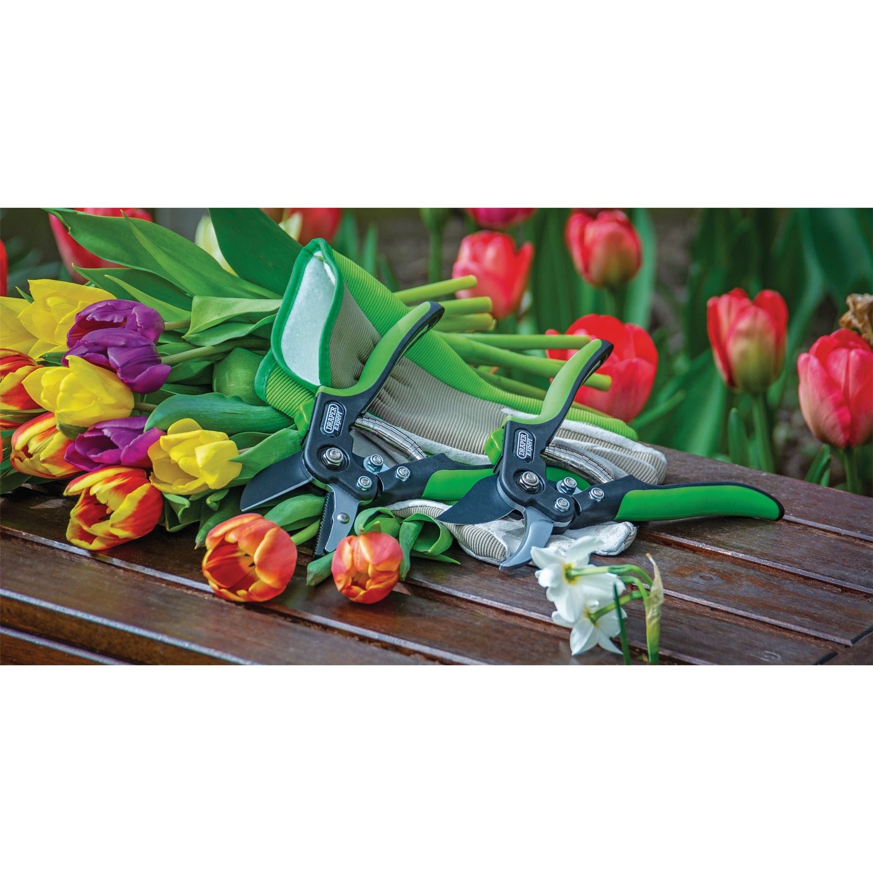 Draper 94983 Expert Anvil Pattern Secateurs 200mm Draper