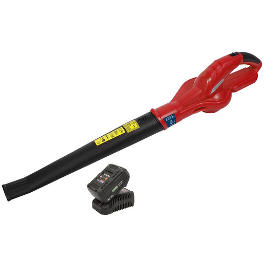Sealey CB20VCOMBO4 Leaf Blower Cordless 20V SV20 Series with 4Ah Battery & Charger Sealey