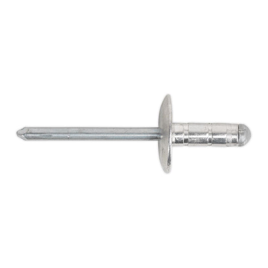 Sealey RM4819L Aluminium Multi-Grip Rivet Large Flange Ø4.8 x 19mm Pack of 200 Sealey