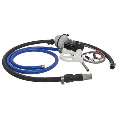 Sealey TP9912 AdBlue® Transfer Pump Portable 12V Sealey