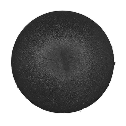 Sealey TCFT1830 Fir Tree Clip Ø18mm x 32mm BMW Chrysler Ford GM - Pack of 20 Sealey