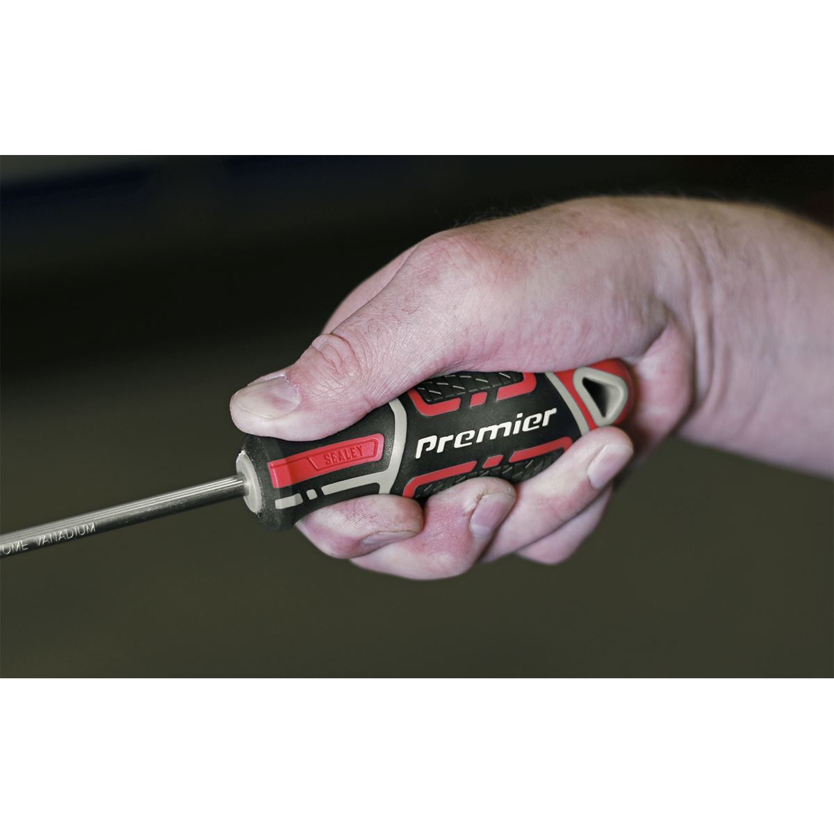 Sealey AK4361 Screwdriver Phillips #2 x 100mm GripMAX® Sealey