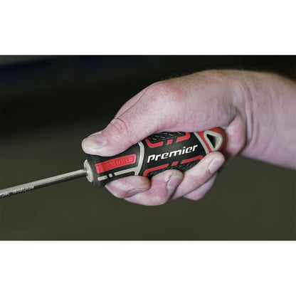 Sealey AK4361 Screwdriver Phillips #2 x 100mm GripMAX® Sealey