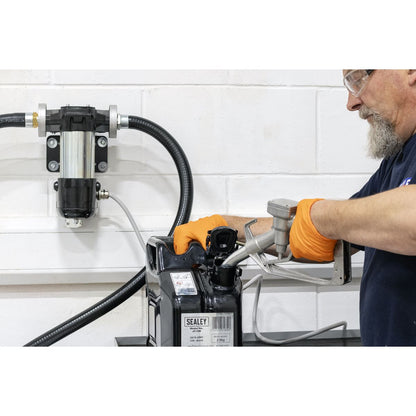 Sealey TP98 Diesel & Fluid Transfer Pump 12V High Flow Sealey