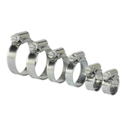 Sealey SHCS1 Hose Clip Assortment 30pc Ø8-29mm Zinc Plated Sealey