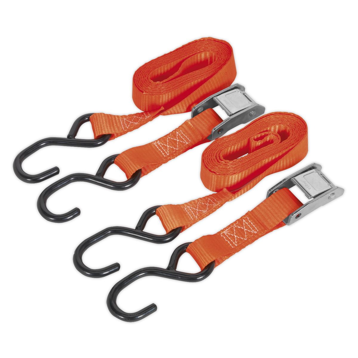 Sealey TD05025CS Cam Buckle Strap 25mm x 2.5m Polyester Webbing with S-Hooks 500kg Breaking Strength Sealey