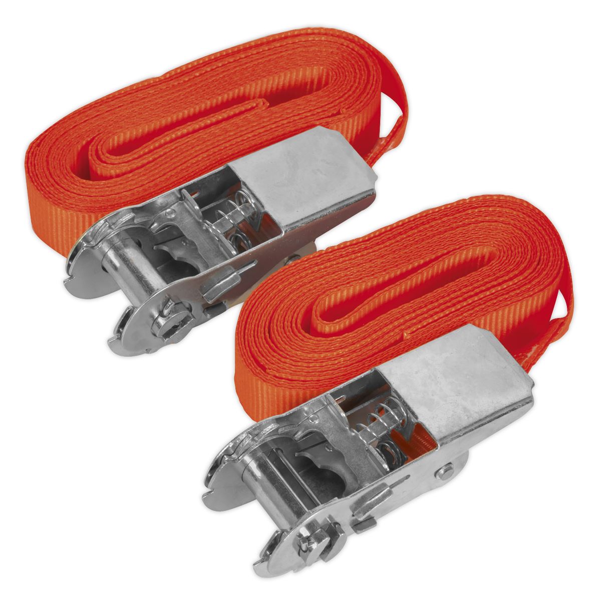 Sealey TD05045E Self-Securing Ratchet Straps 25mm x 4.5m 500kg Breaking Strength - Pair Sealey