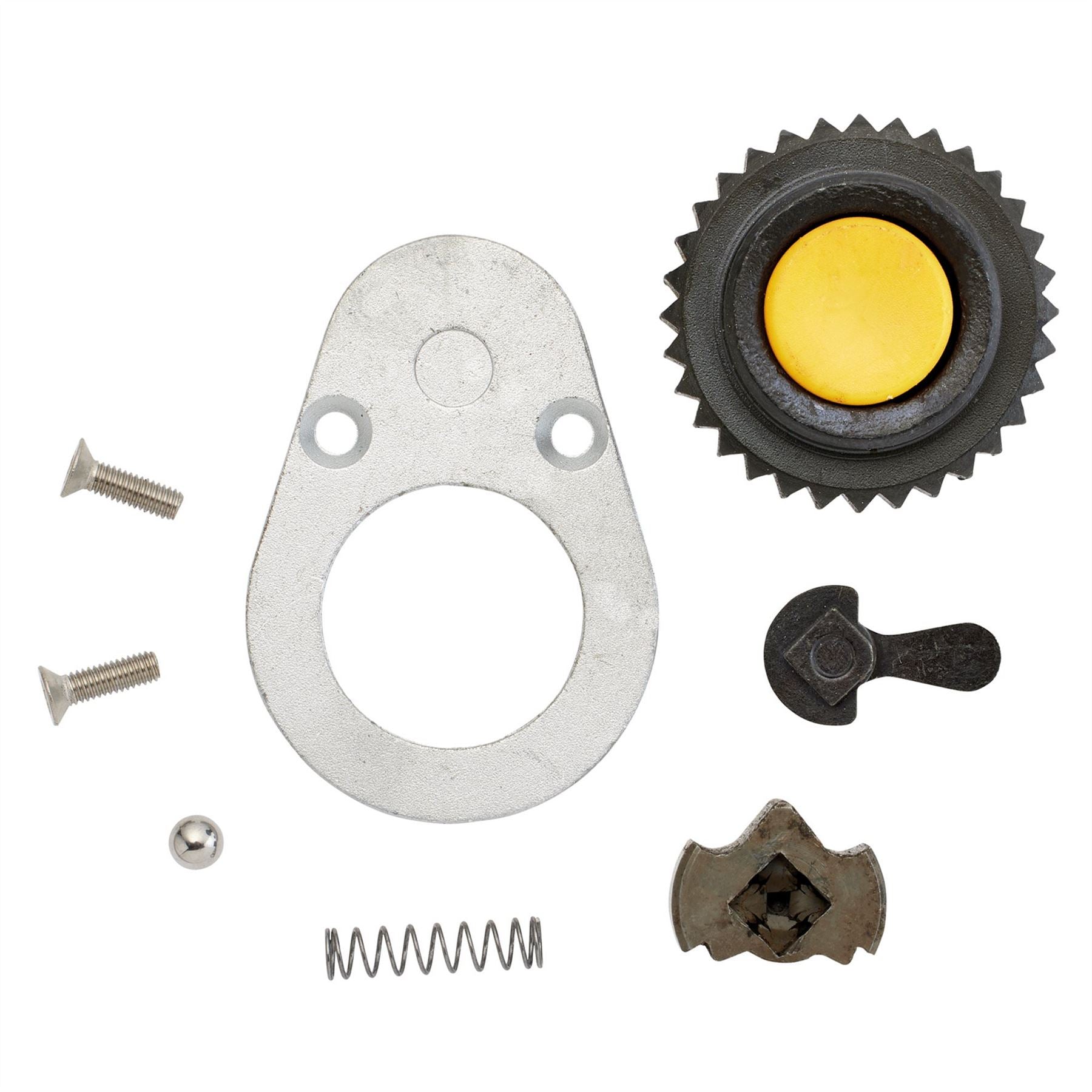 Elora 69051 Ratchet Repair Kit for 55536 58747 58750 and 58752 Elora