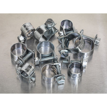 Sealey AB042MH Mini Hose Clip Assortment 100pc Sealey