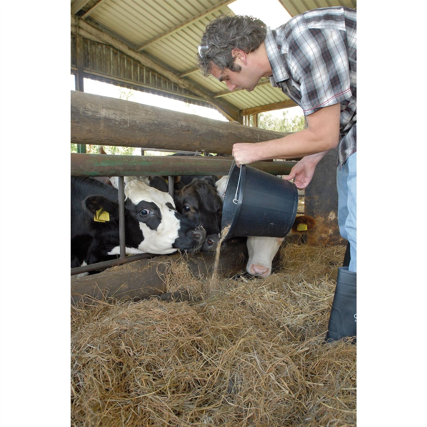 Draper 31687 Bucket 14.8L Black Draper