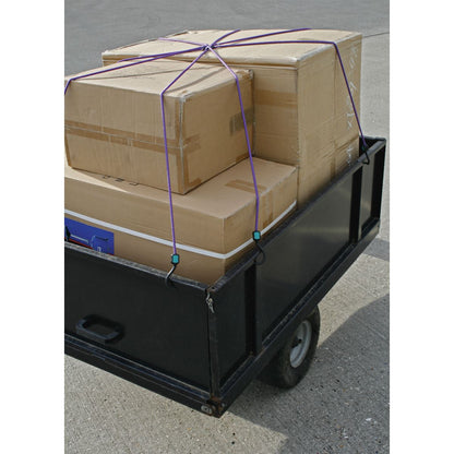 Sealey BCS23 Bungee Cord 1000mm Octopus Sealey