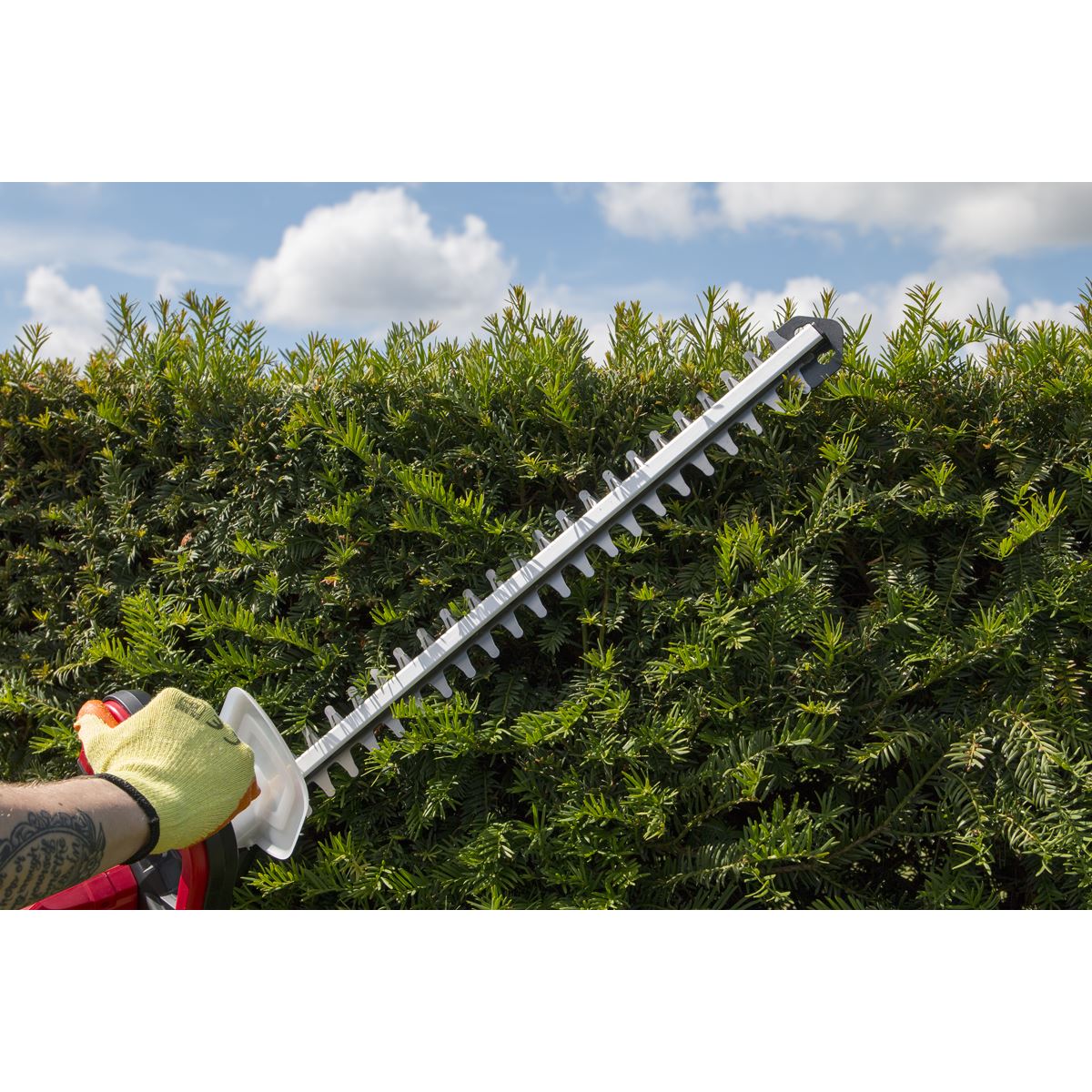 Sealey CHT20V 52cm Hedge Trimmer Cordless 20V SV20 Series - Body Only Sealey