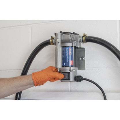 Sealey TP9624 Diesel/Fluid Transfer Pump Portable 24V Sealey