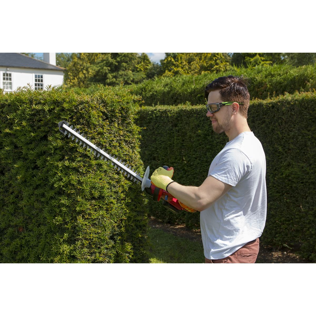 Sealey CHT20VCOMBO4 Hedge Trimmer Cordless 20V SV20 Series with 4Ah Battery & Charger Sealey