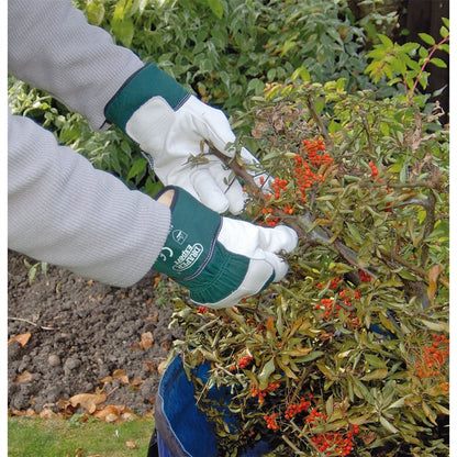 Draper 82608 Expert Premium Leather Gardening Gloves Extra Large Draper