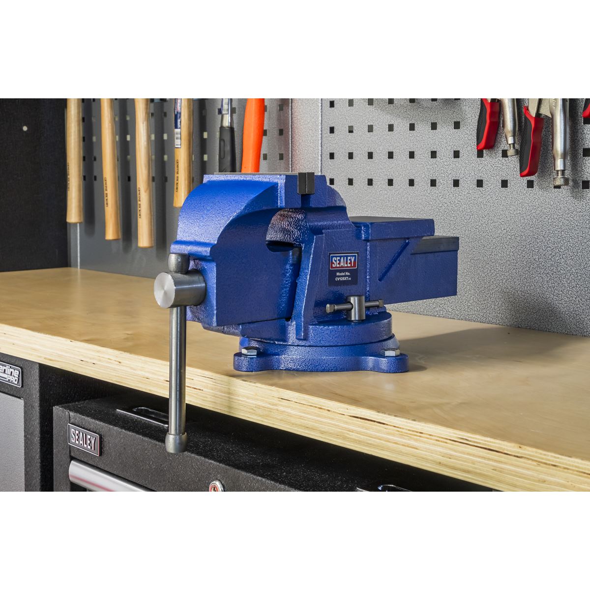 Sealey CVXTB125COMBO Heavy-Duty Professional Vice with Swivel Base 125mm Sealey