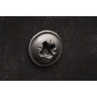 Sealey BST3519 Self-Tapping Screw 3.5 x 19mm Flanged Head Black Pozi Pack of 100 Sealey