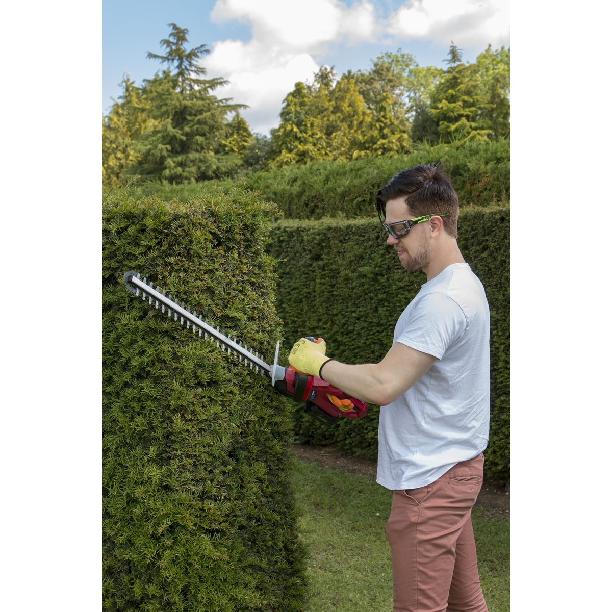 Sealey CHT20VCOMBO2 Hedge Trimmer Cordless 20V SV20 Series with 2Ah Battery & Charger Sealey