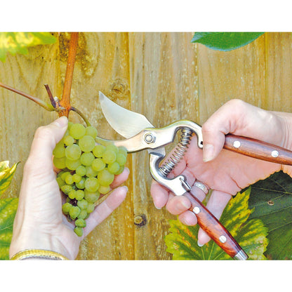 Draper 45317 Bypass Pattern Secateurs with Wooden Handles 210mm Draper