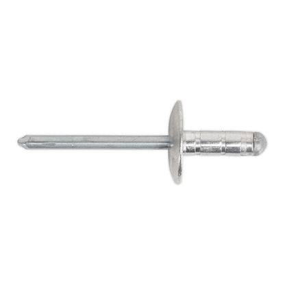 Sealey RVSET Clip Strip Deal - Aluminium Rivets Sealey
