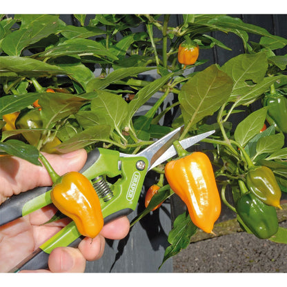 Draper 73729 Precision Curved Pruning Secateurs 165mm Draper