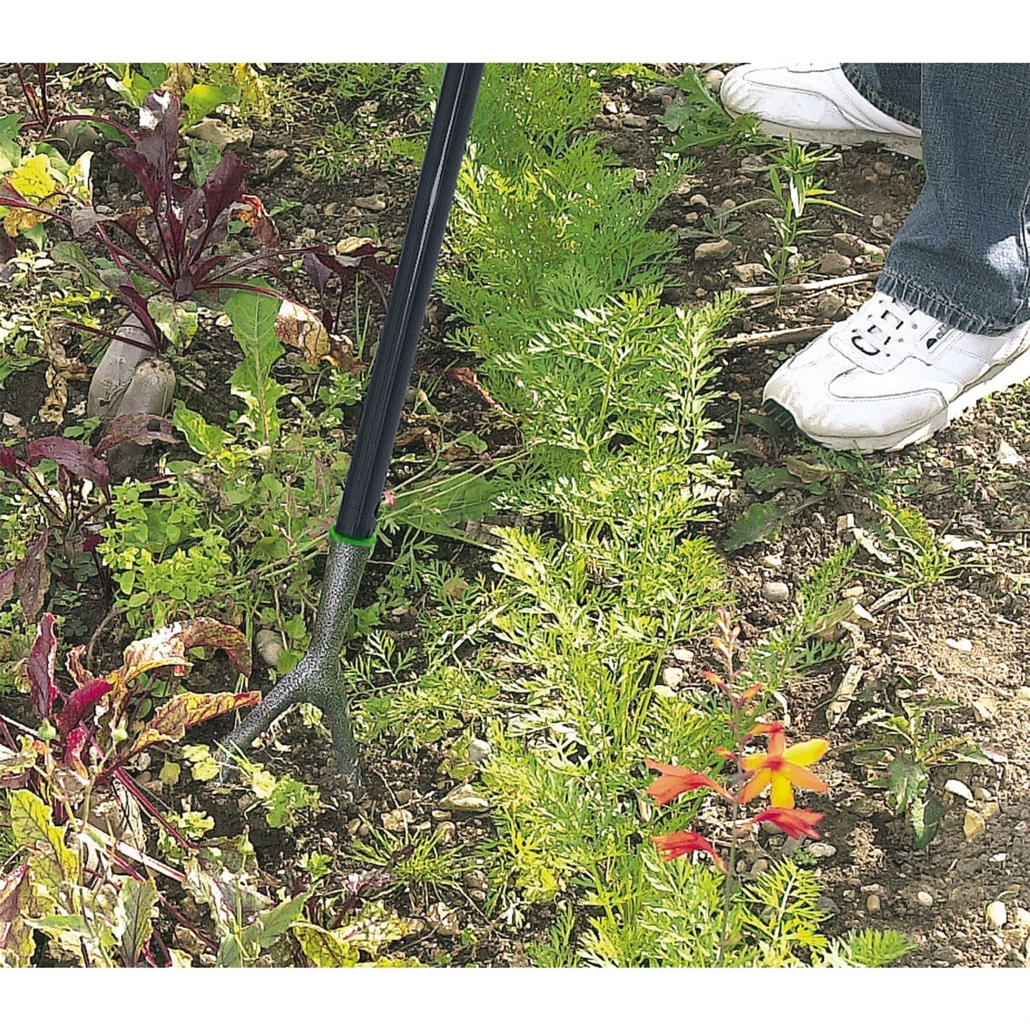 Draper 88799 Carbon Steel Dutch Hoe Draper